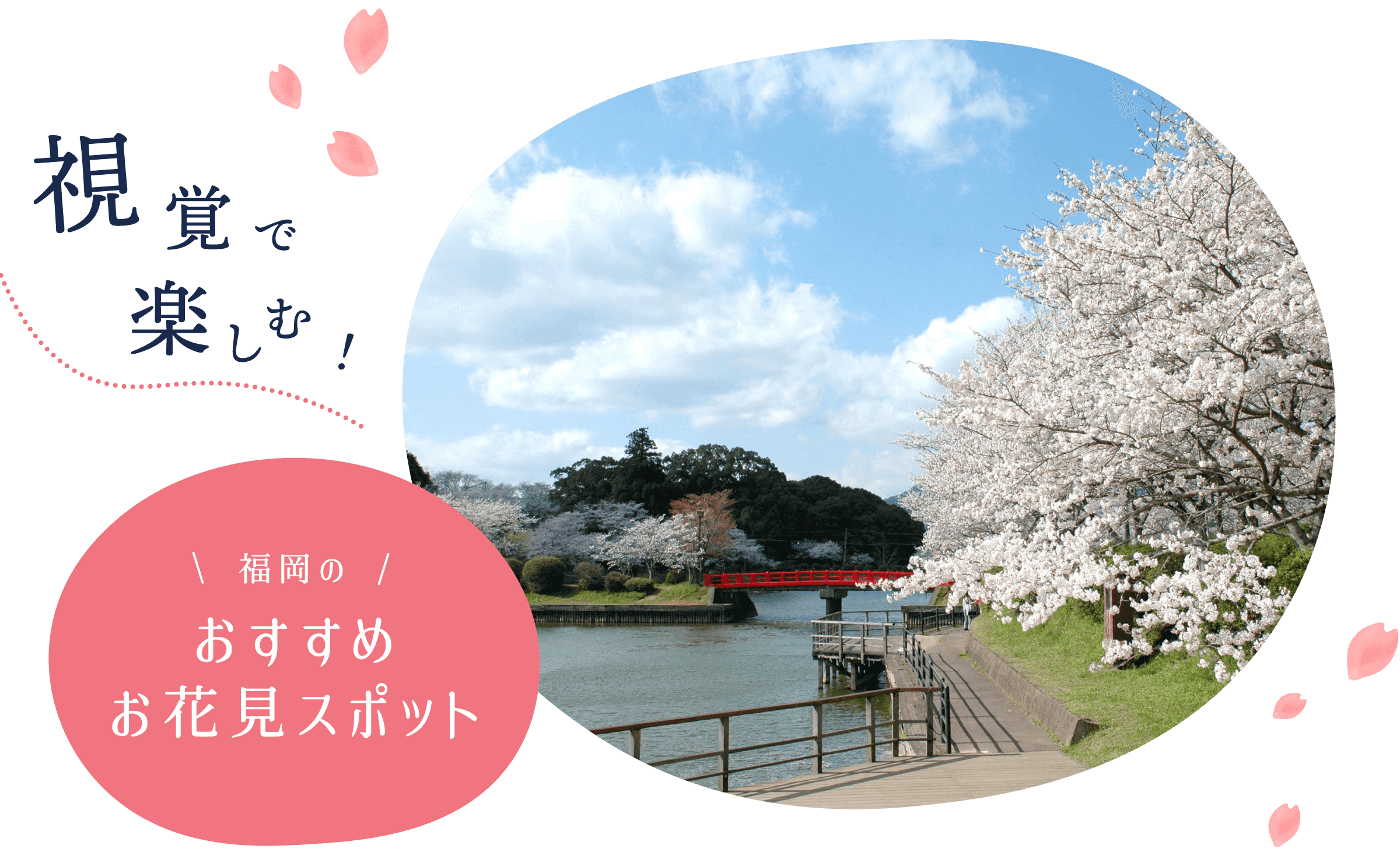 視覚で楽しむ！福岡のおすすめお花見スポット