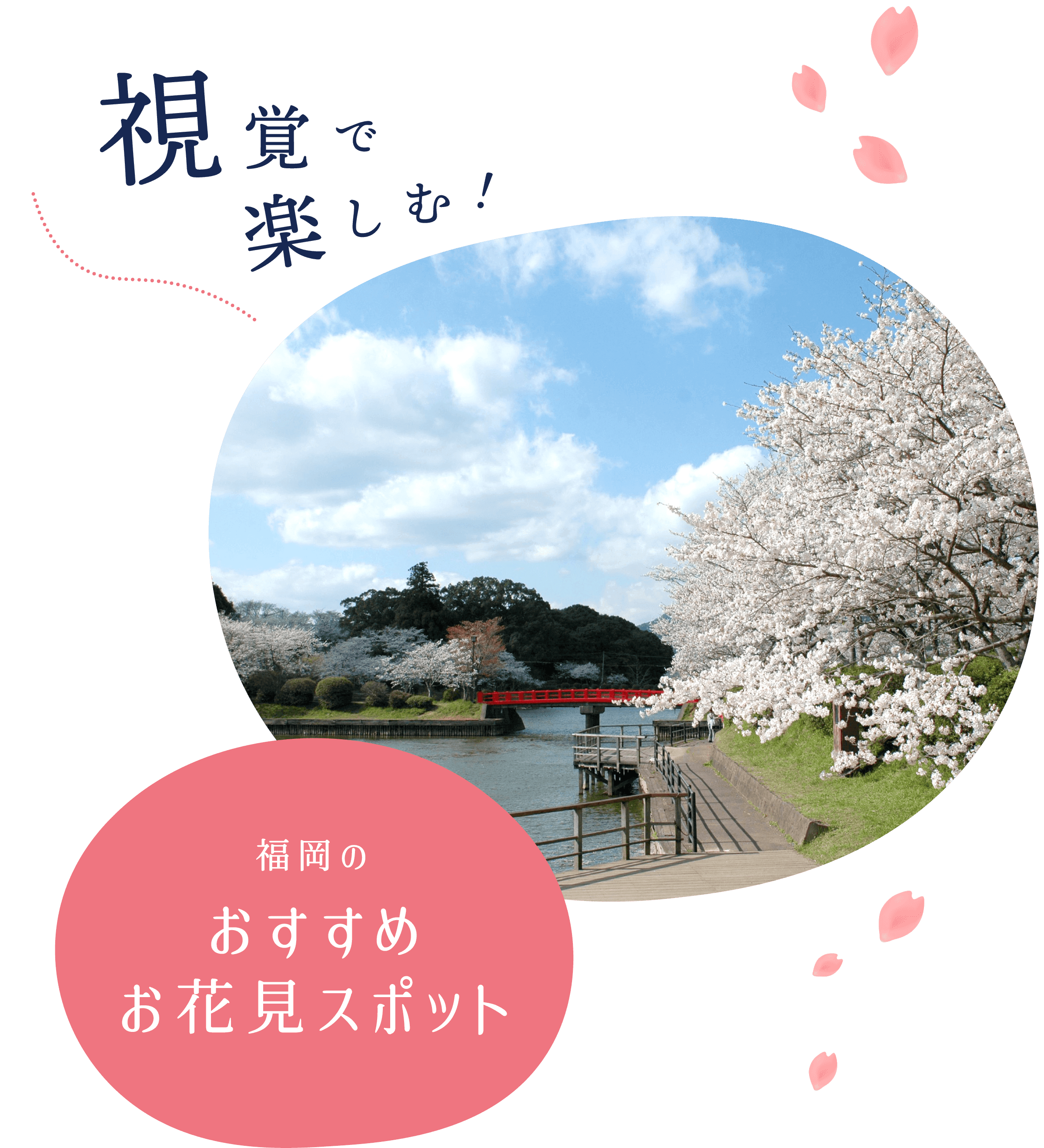 視覚で楽しむ！福岡のおすすめお花見スポット