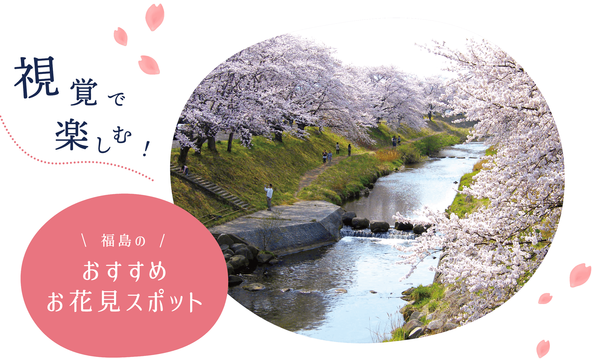 視覚で楽しむ！福島のおすすめお花見スポット