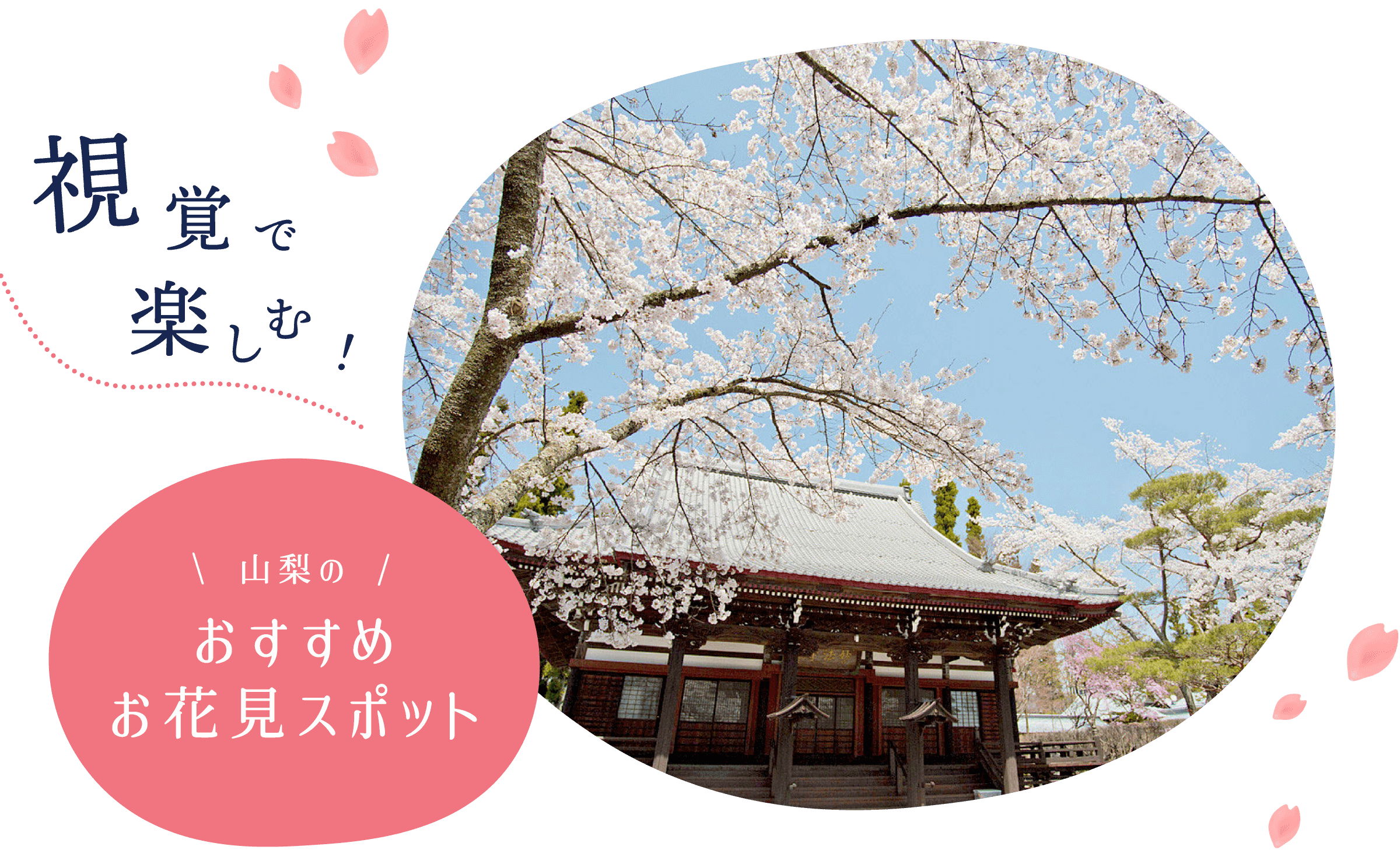 視覚で楽しむ！山梨のおすすめお花見スポット