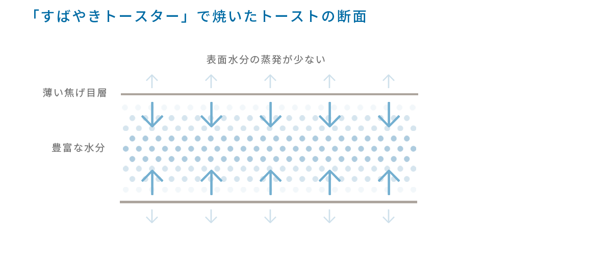 すばやきトースターで焼いたトーストの断面