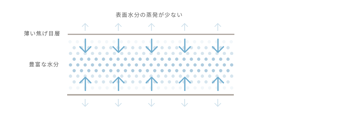 すばやきトースターで焼いたトーストの断面